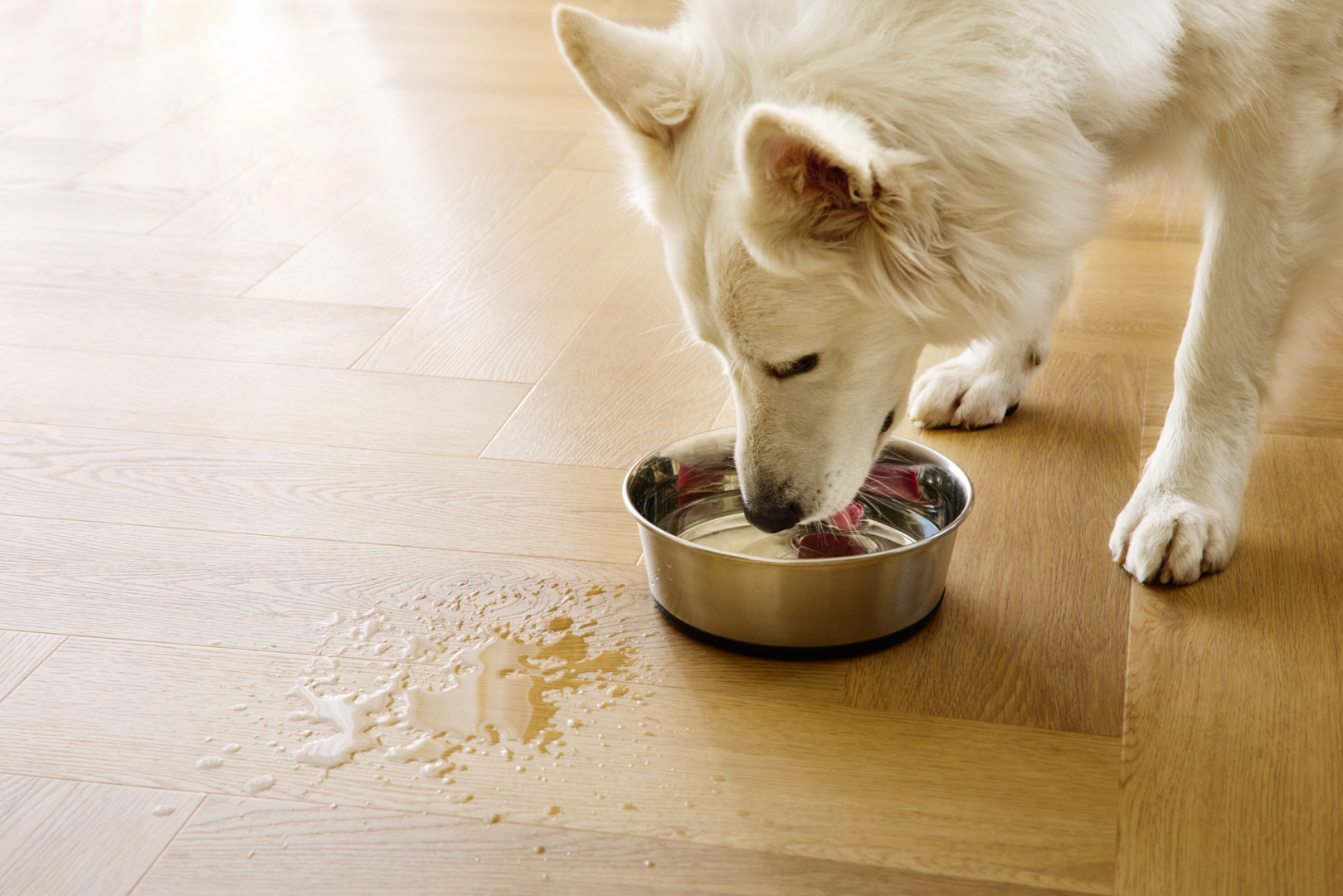 Panele winylowe Arbiton Amaron Herringbone EIR - DĄB MENOR - 5mm/0.55mm