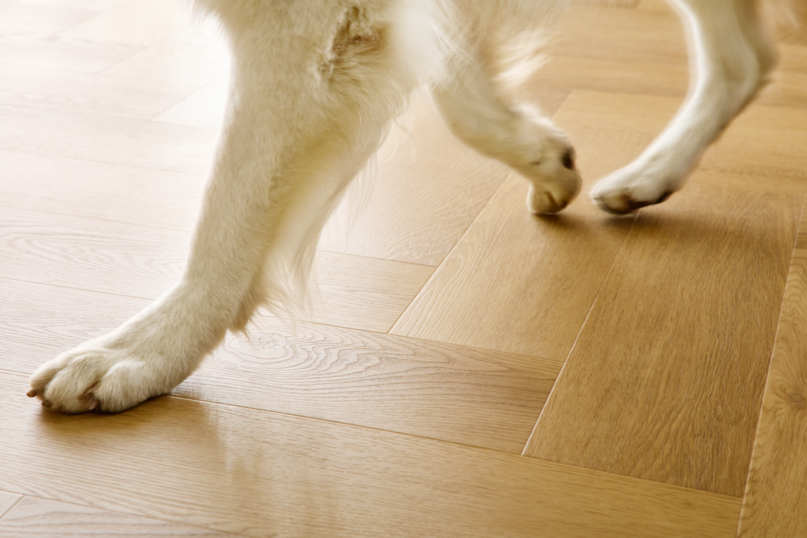 Panele winylowe Arbiton Amaron Herringbone EIR - DĄB MENOR - 5mm/0.55mm