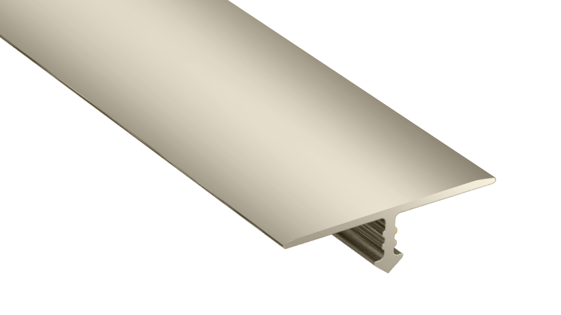 Floor profile Arbiton - T16 TITANIUM A3 - 2,0 M